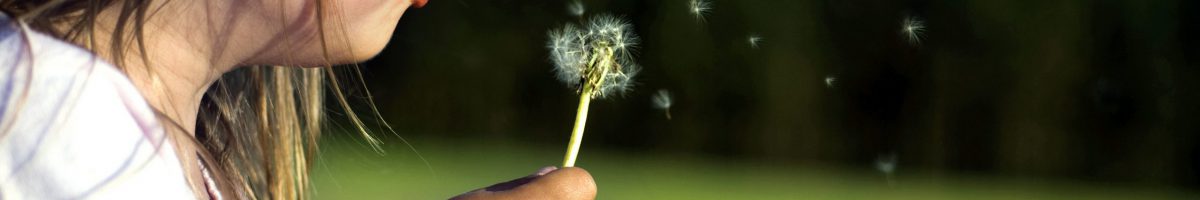 17065651-meisje-met-paardebloem